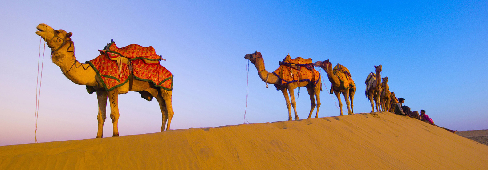 rajasthan tourism