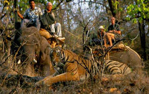 madhya pradesh tourism