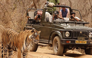 ranthambore tourism